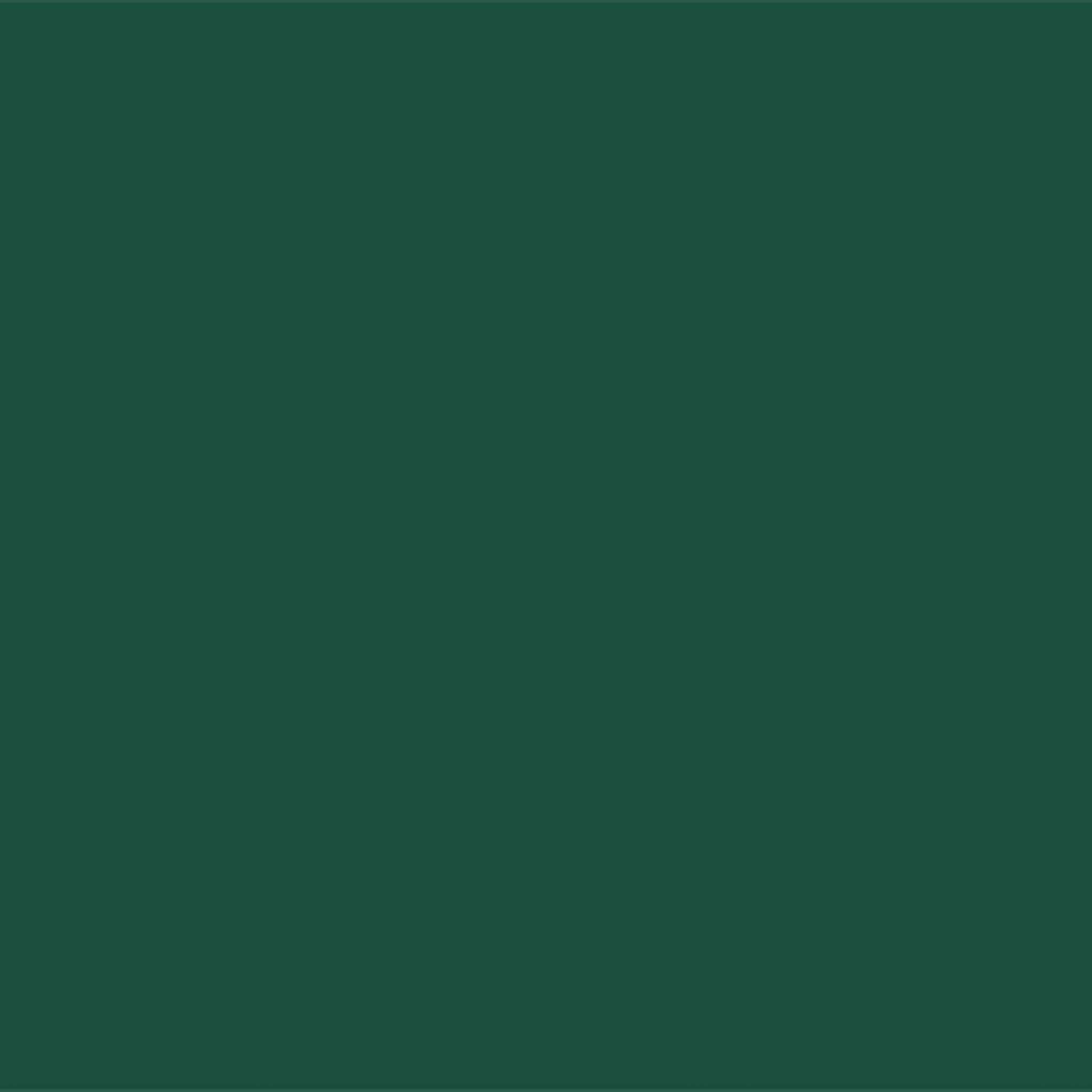 #size_330 x 1565